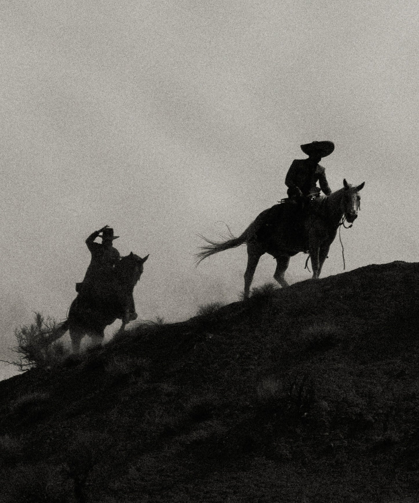 The Cowboy Collection #8 by Ben Christensen