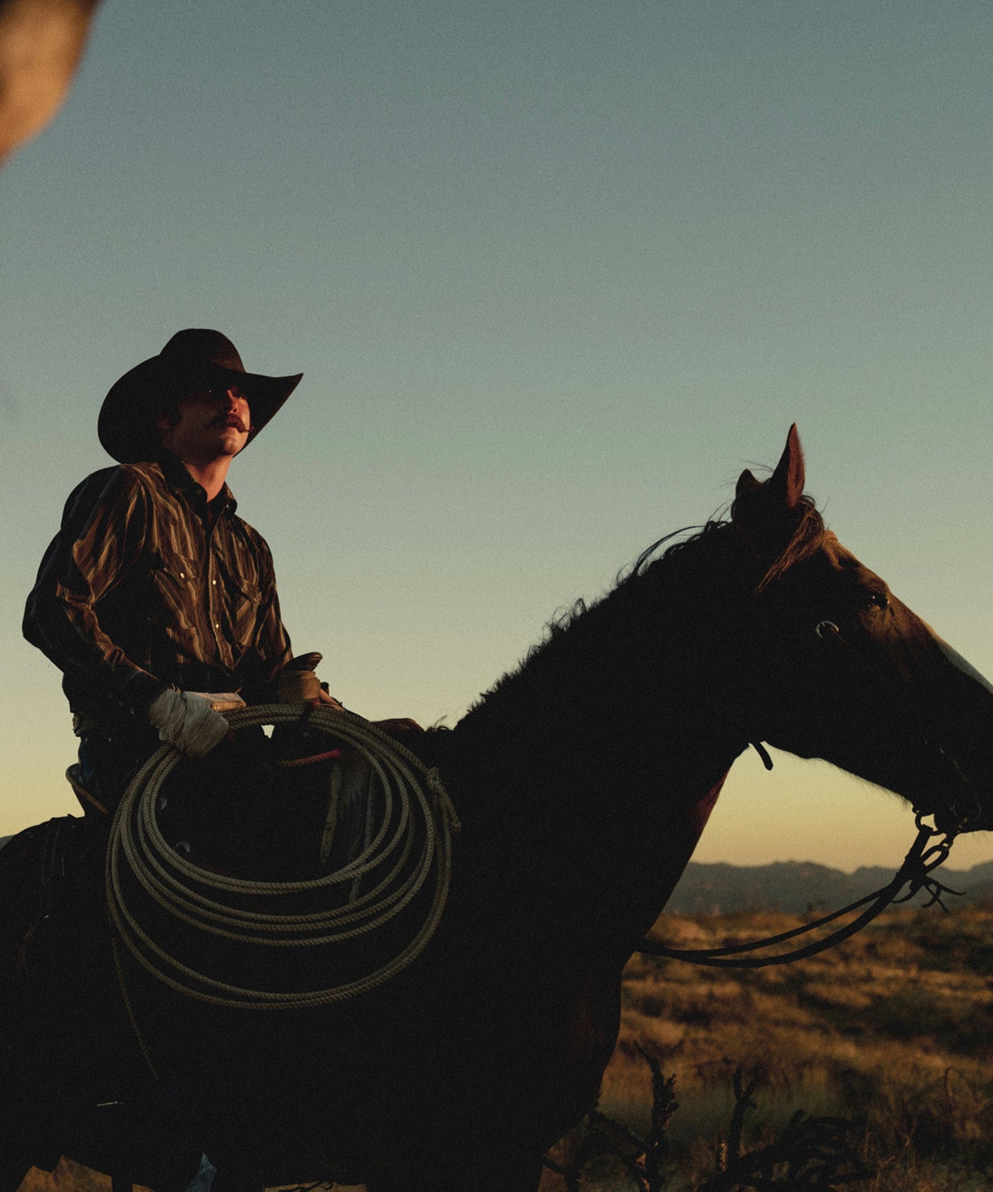 The Cowboy Collection #7/20 by Ben Christensen