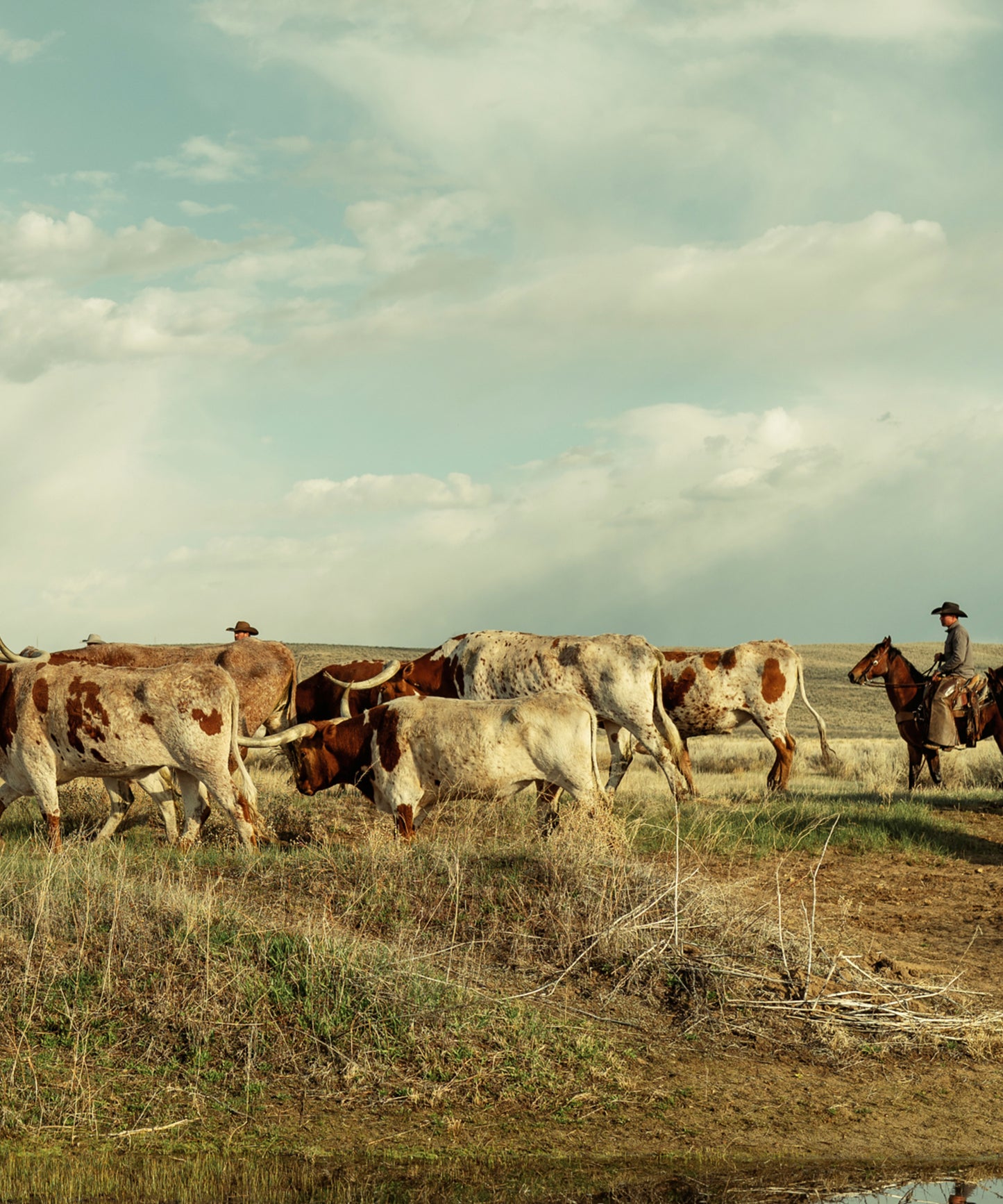 The Cowboy Collection #18 by Ben Christensen