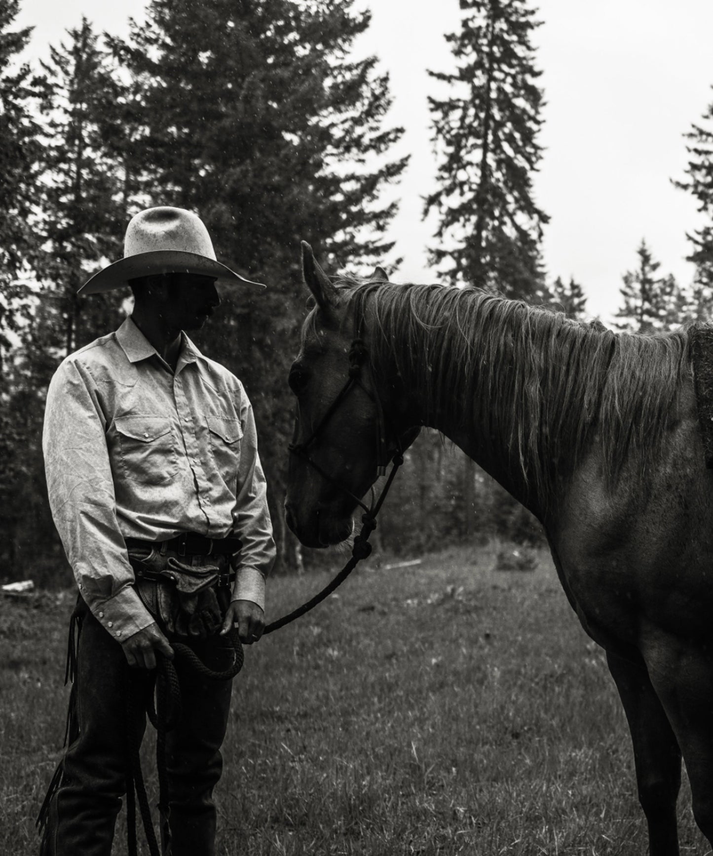 The Cowboy Collection #14/20 by Ben Christensen