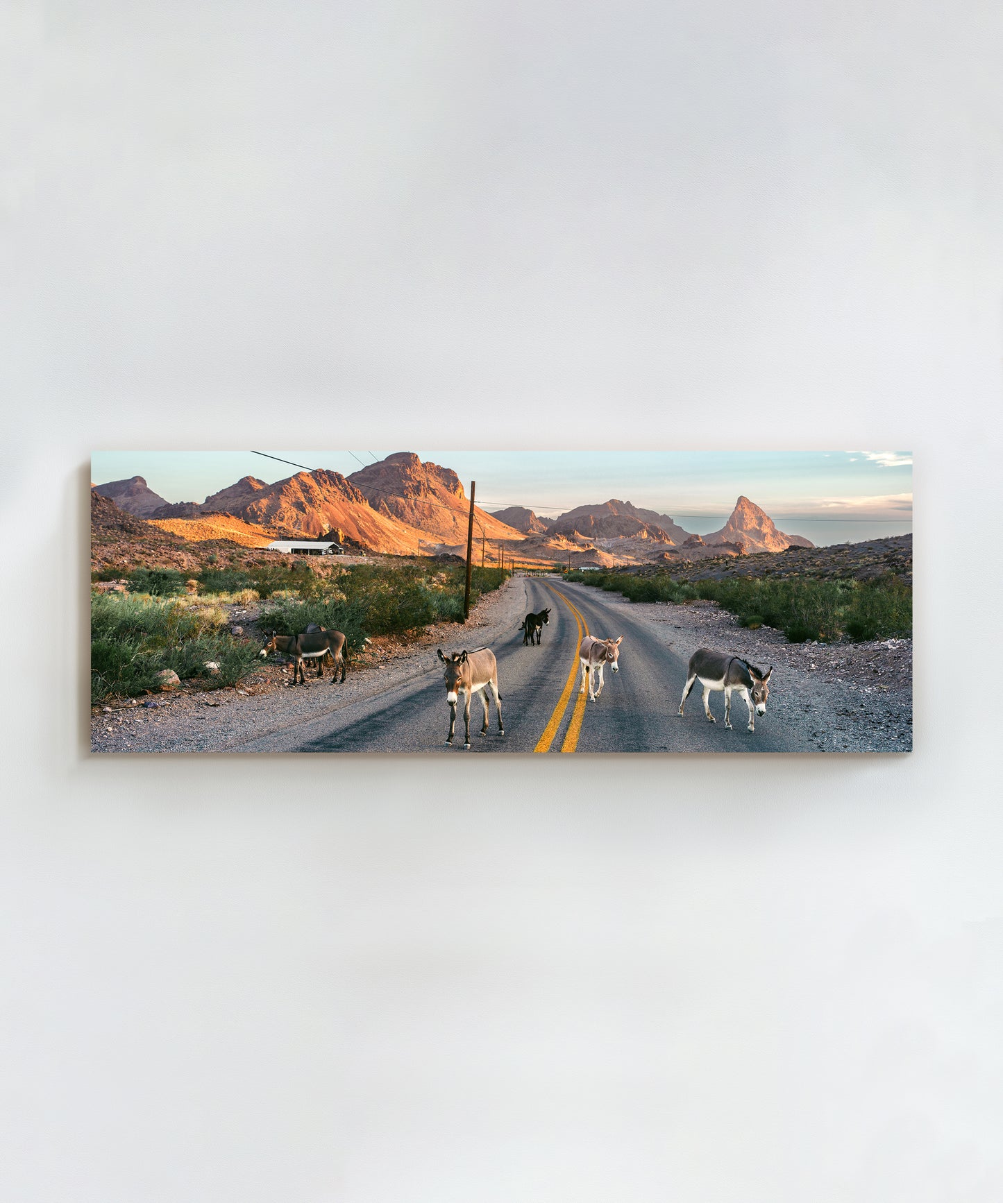 Donkey Highway by Cam Mackey