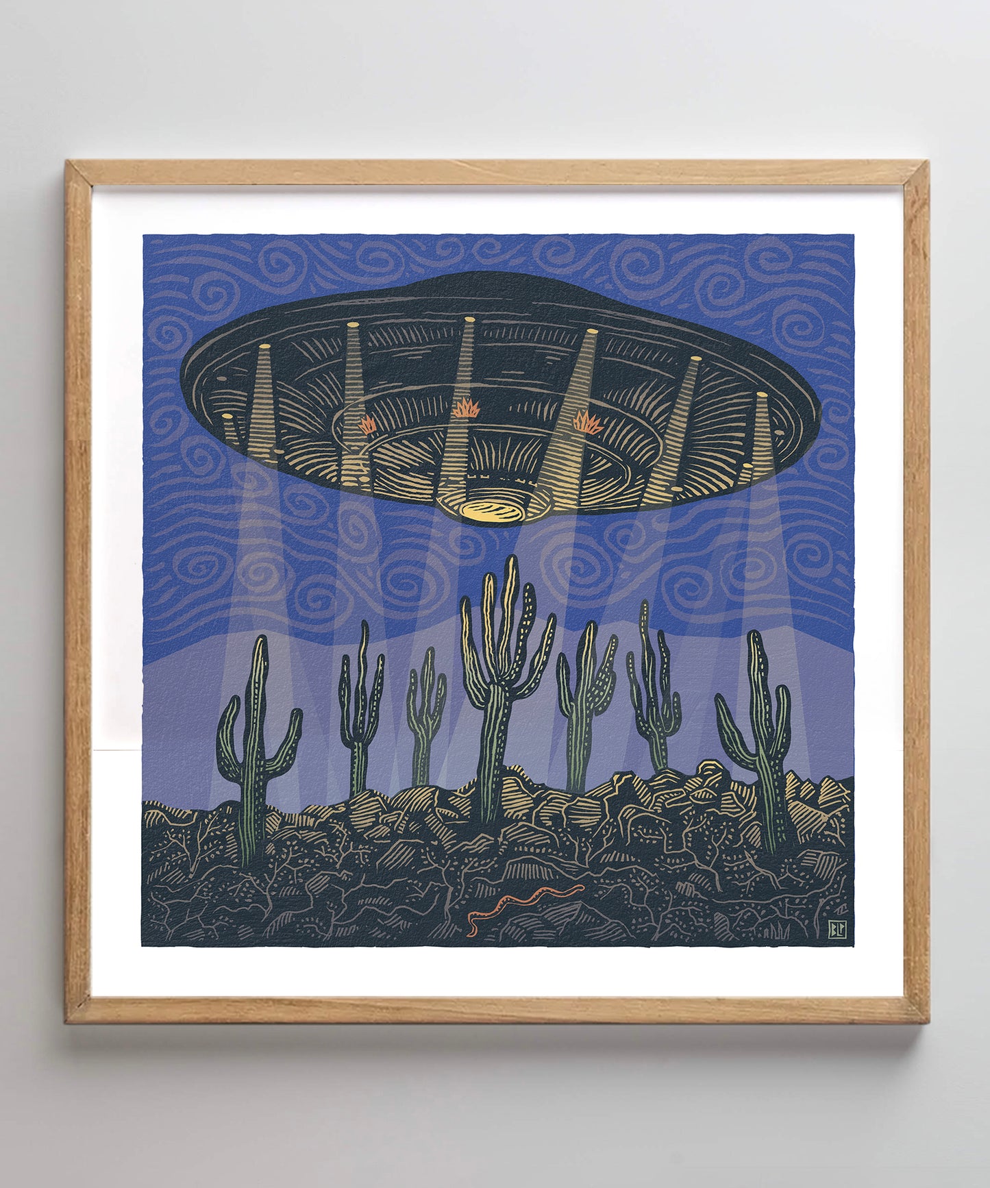 Cacti and Aliens by Bryan Peterson