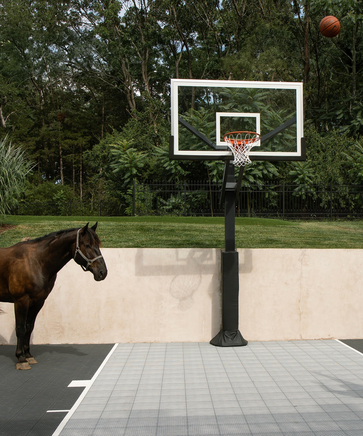Playing Horse by Hannah Ladd