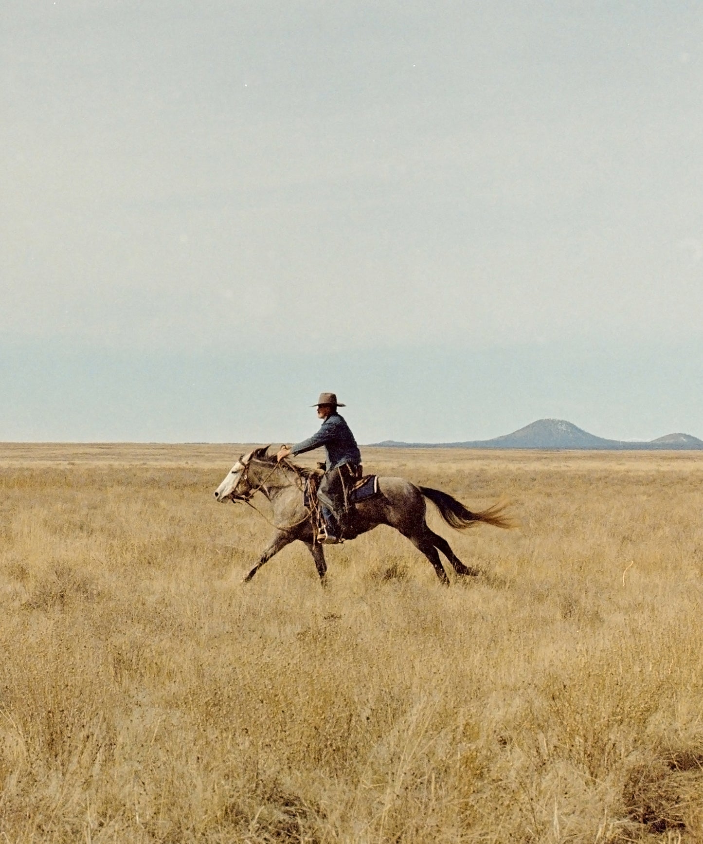 Ranch Days #7 by Taylor Hoover