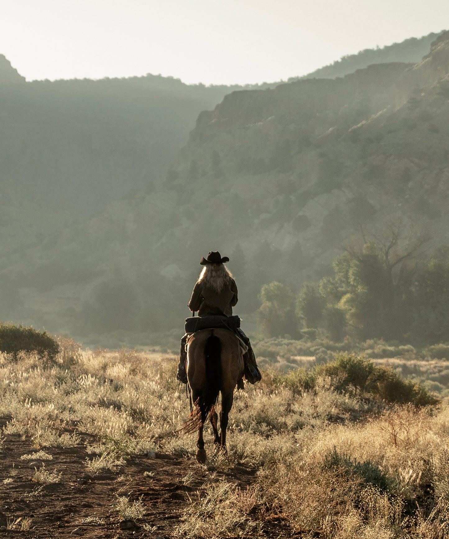 The Cowgirl Collection #17 by Ben Christensen