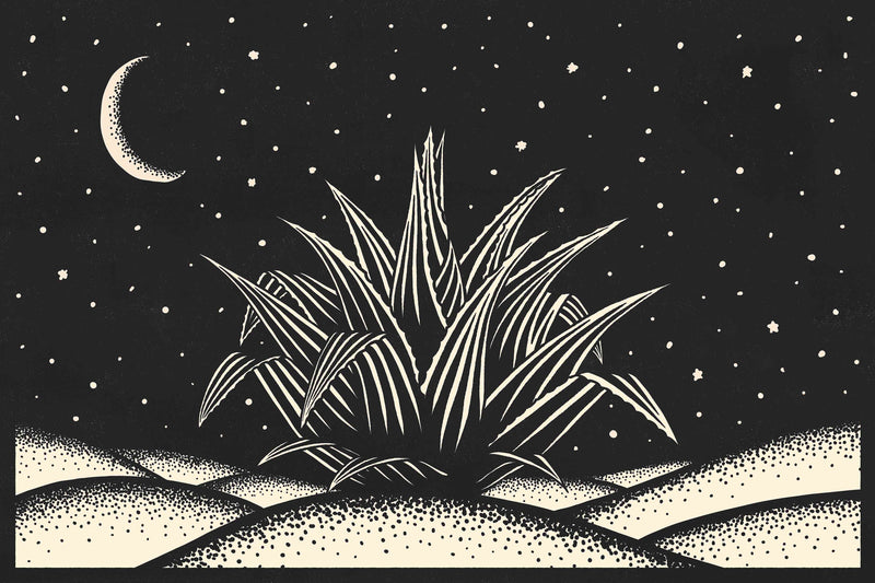 Block Print Desert #3 of 3 - Agave by Head West Studio