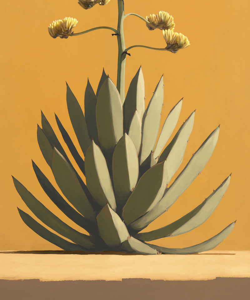 Lone Cacti Series #2 of 3 - Agave by Head West Studio