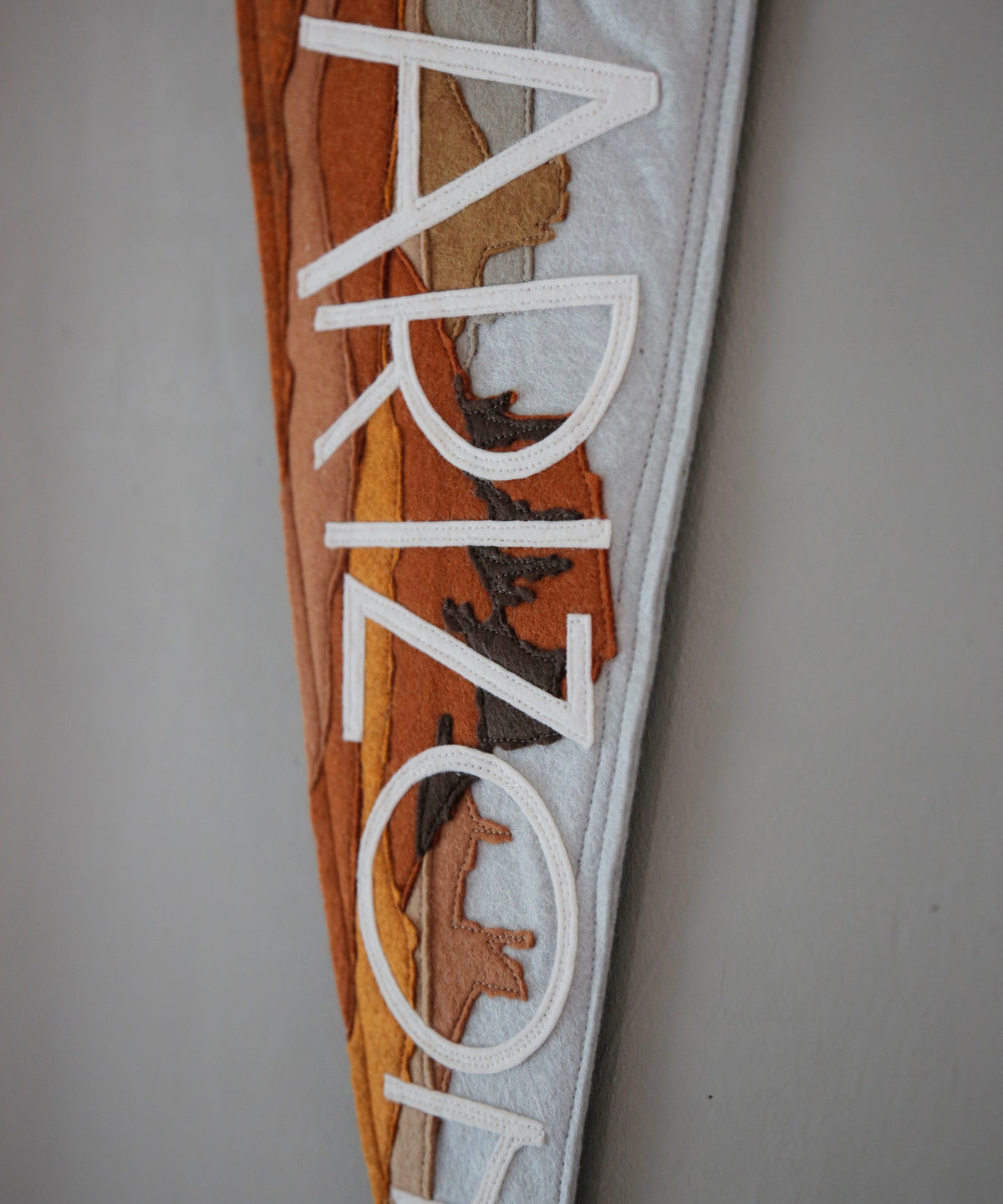 Arizona Felt Pennant by Head West Studio
