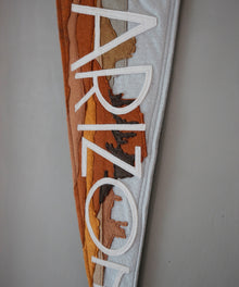 Arizona Felt Pennant by Head West Studio