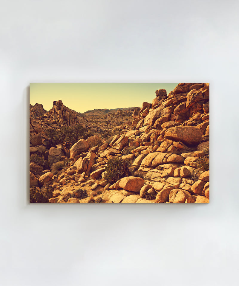 Joshua Tree Landscape #4 by Zachary C. Bako