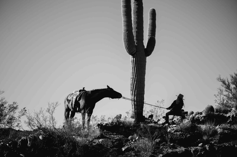 The Cowgirl Collection #2 by Ben Christensen