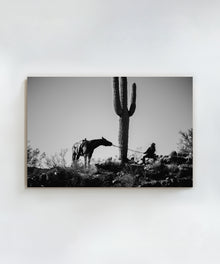 The Cowgirl Collection #2 by Ben Christensen