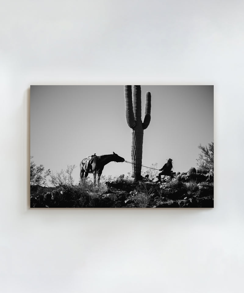 The Cowgirl Collection #2 by Ben Christensen