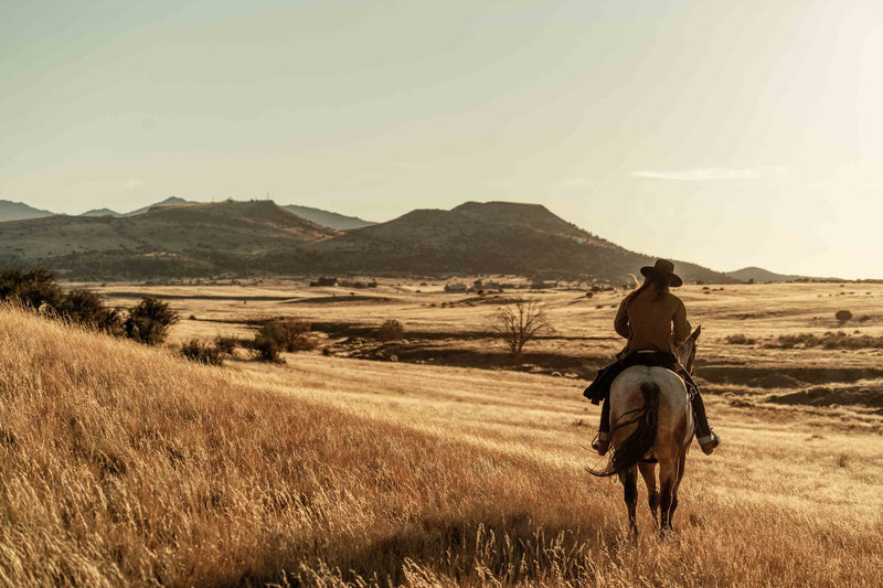 The Cowgirl Collection #20 by Ben Christensen