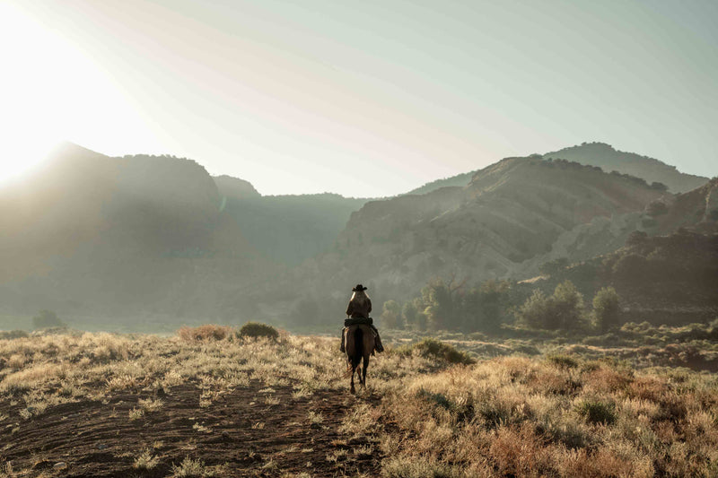 The Cowgirl Collection #17 by Ben Christensen