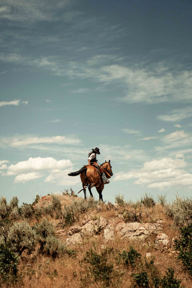 The Cowgirl Collection #16 by Ben Christensen