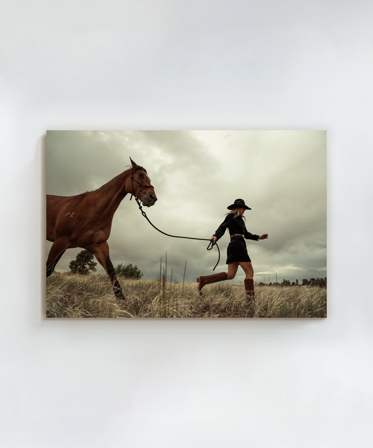 The Cowgirl Collection #22 by Ben Christensen