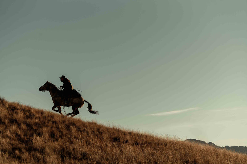 The Cowgirl Collection #11 by Ben Christensen