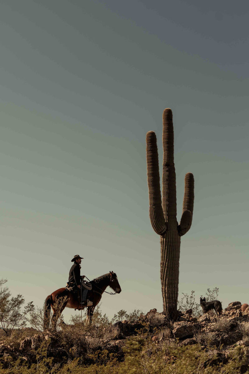 The Cowboy Collection #4 by Ben Christensen