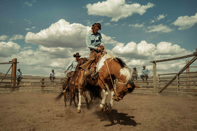 The Cowboy Collection #7 by Ben Christensen
