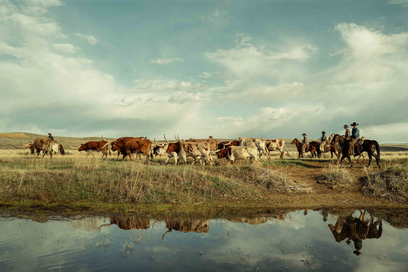 The Cowboy Collection #18 by Ben Christensen