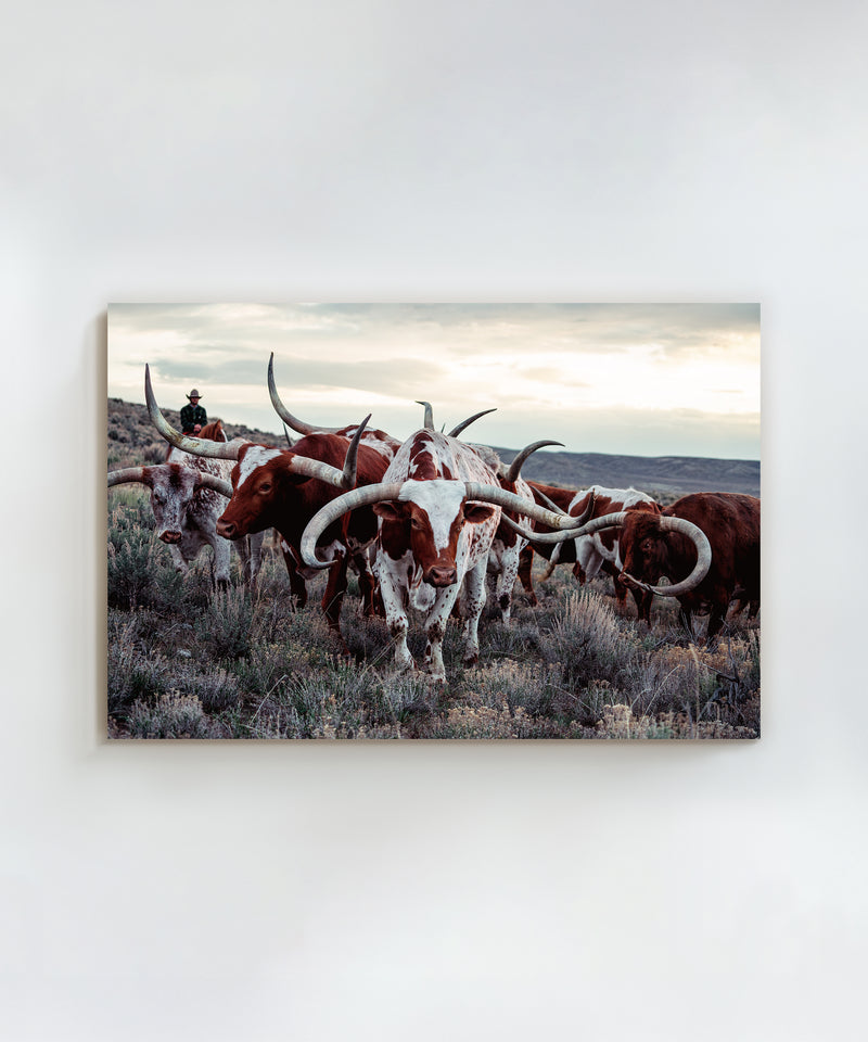 The Cowboy Collection #20 by Ben Christensen