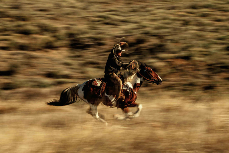 The Cowboy Collection #11 by Ben Christensen