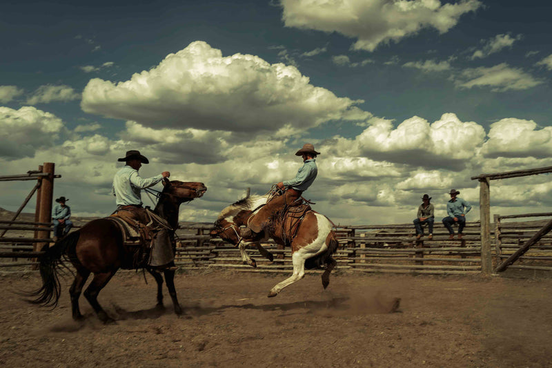 The Cowboy Collection #22 by Ben Christensen