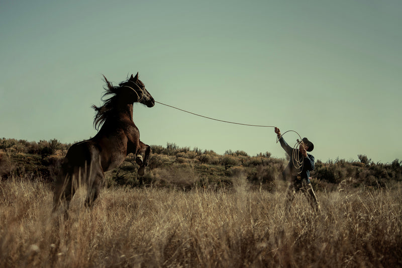 The Cowboy Collection #29 by Ben Christensen