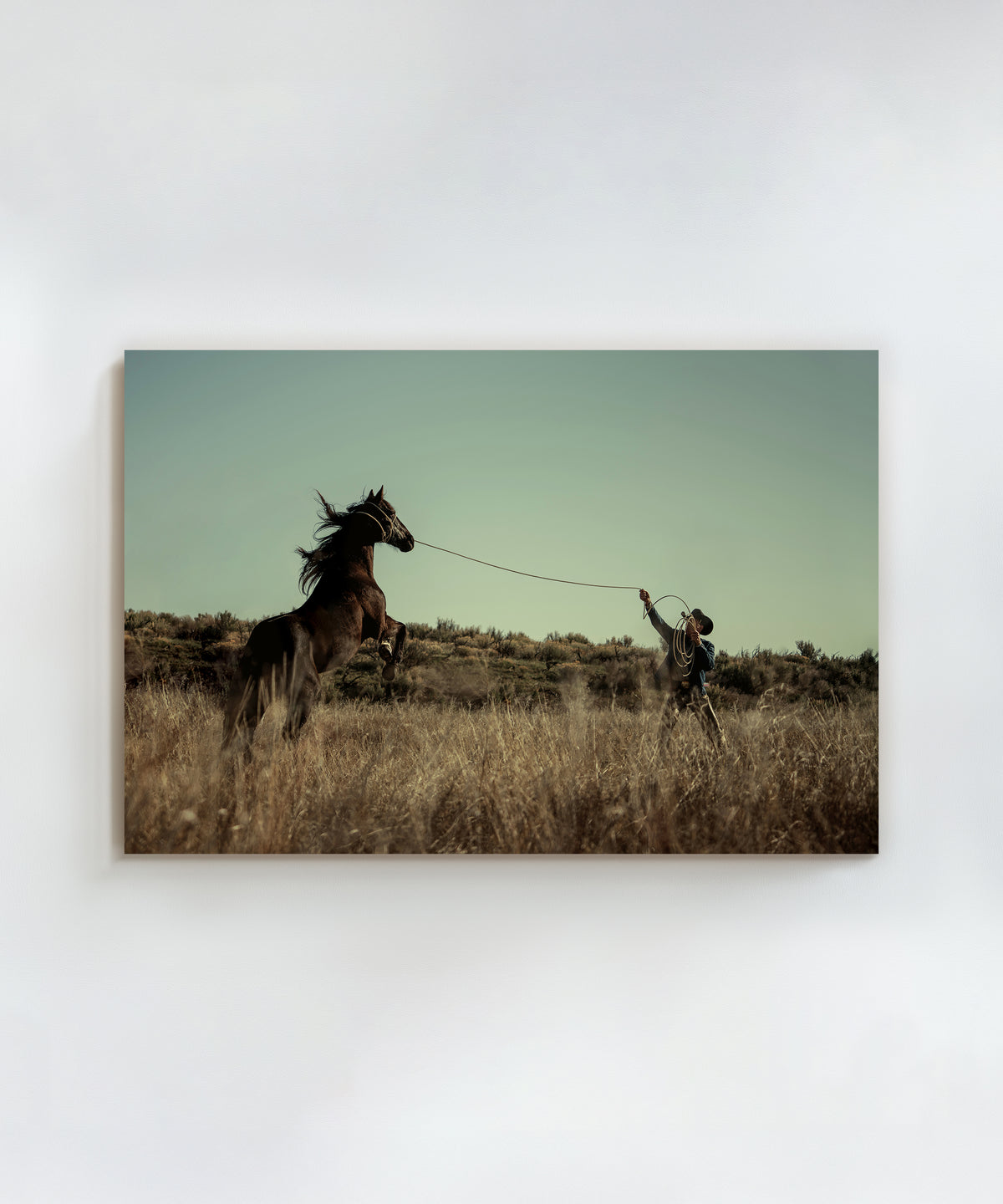 The Cowboy Collection #29 by Ben Christensen