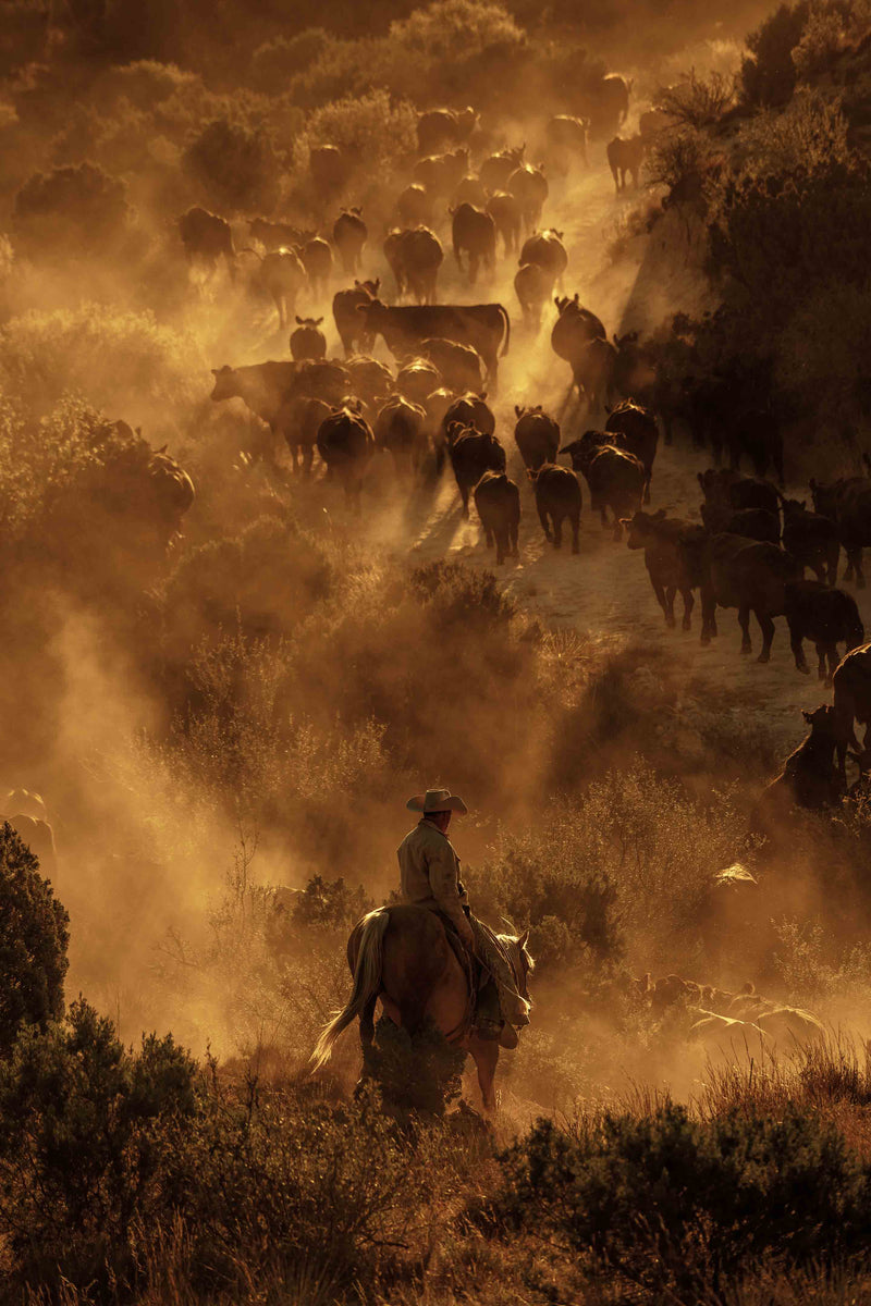 The Cowboy Collection #12 by Ben Christensen