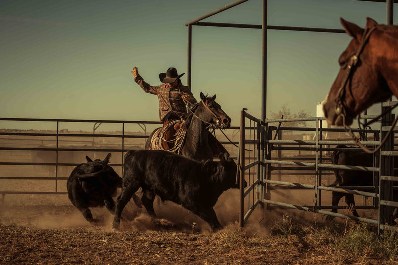 The Cowboy Collection #13 by Ben Christensen