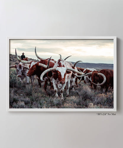 The Cowboy Collection #20/20 by Ben Christensen