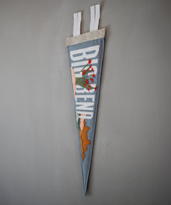Big Bend Felt Pennant by Head West Studio