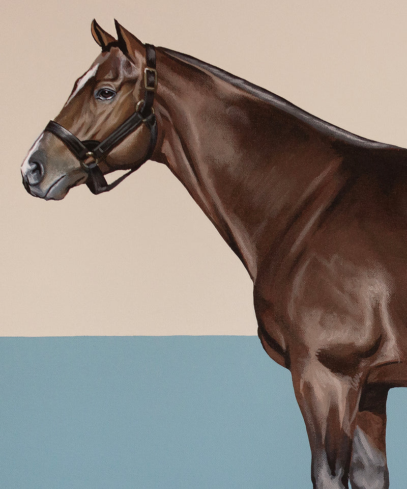 Color Field Horse #3 by Tanner Muse