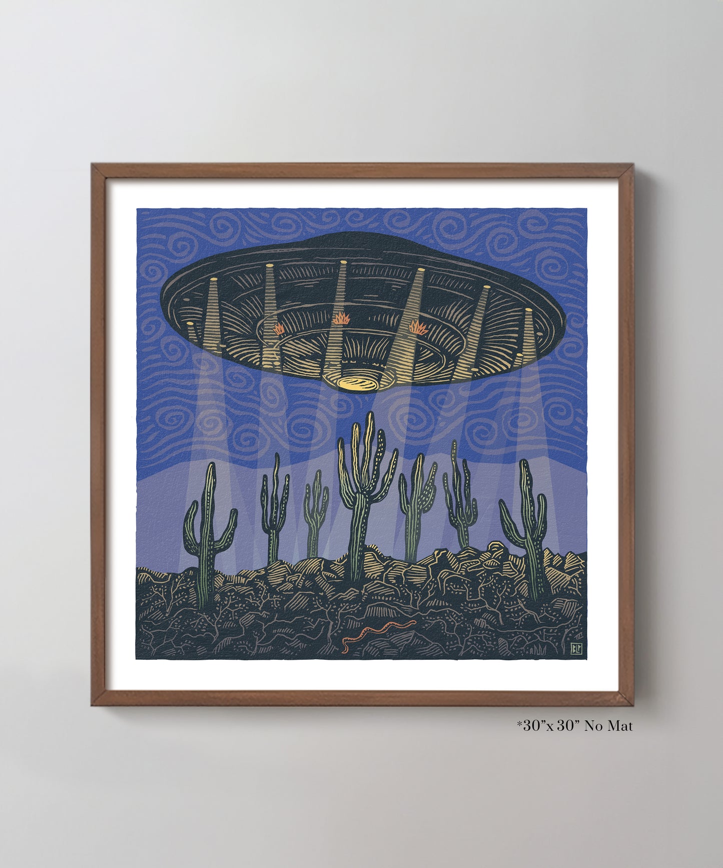 Cacti and Aliens by Bryan Peterson