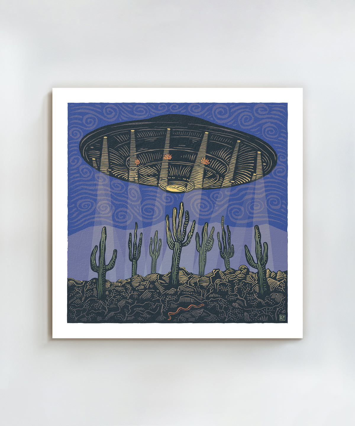 Cacti and Aliens by Bryan Peterson