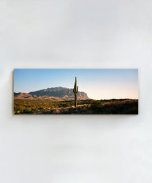 Single Saguaro by Cam Mackey