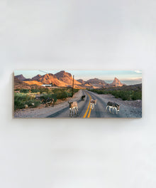 Donkey Highway by Cam Mackey
