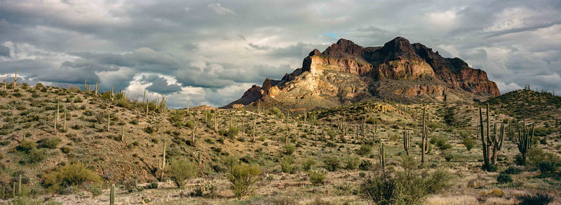 Saguaro Mountain by Cam Mackey