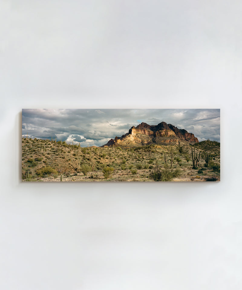 Saguaro Mountain by Cam Mackey