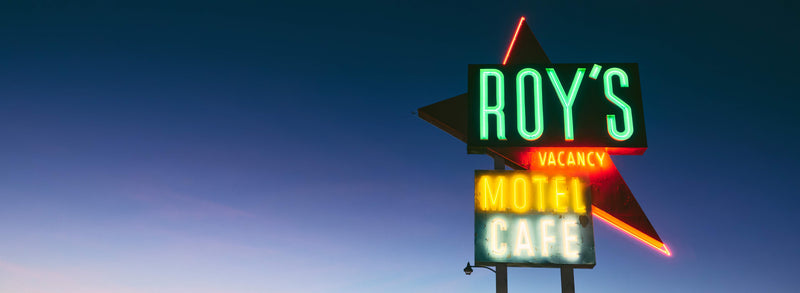Roy's Neon Lights by Cam Mackey