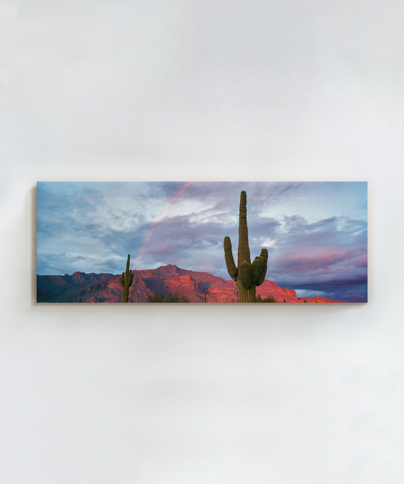 Twin Saguaros by Cam Mackey