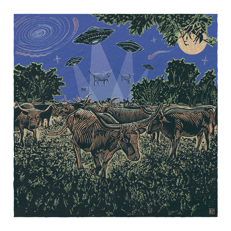 Cows and Aliens by Bryan Peterson
