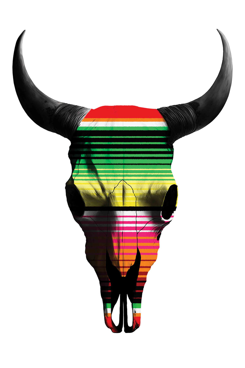 Mexican Blanket Cow Skull by Head West Studio