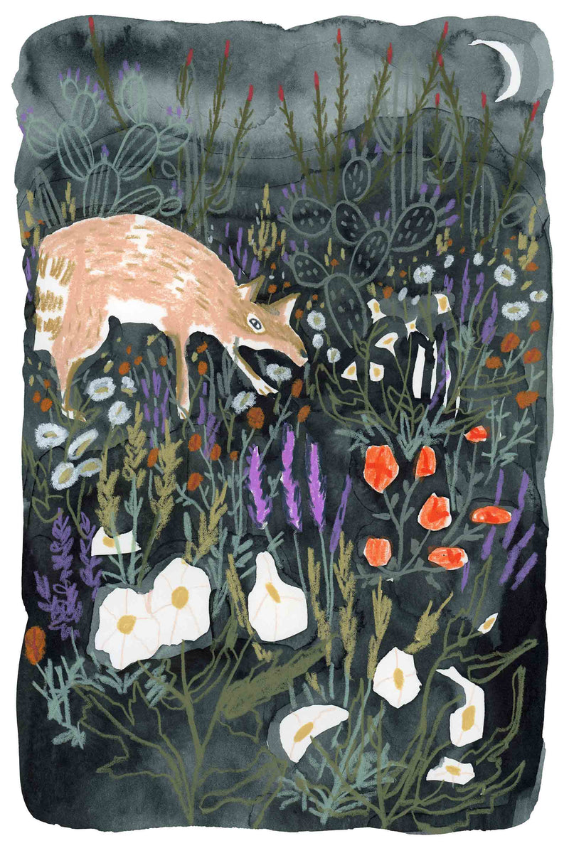 Coyote in Flowers by Melissa Lakey