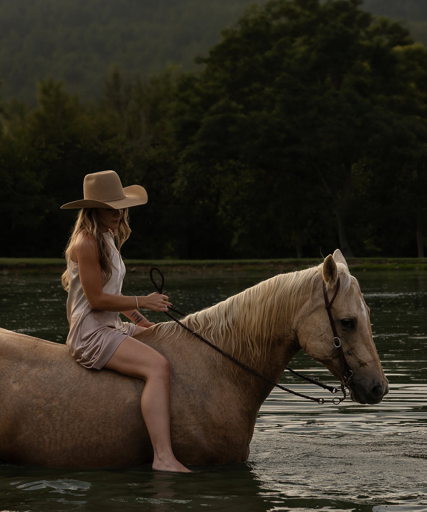 Seahorse by Hannah Ladd