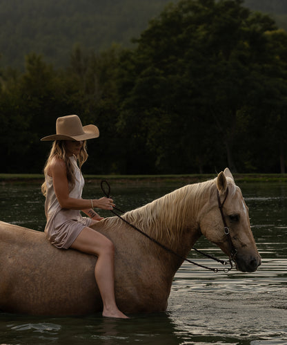 Seahorse by Hannah Ladd