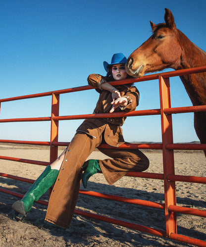 Fenced In by Hannah Ladd