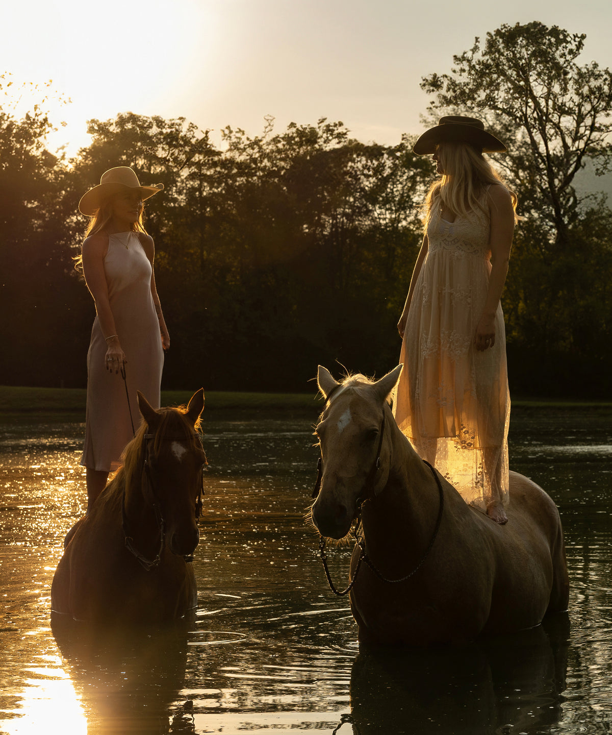 Cowgirls for Life by Hannah Ladd